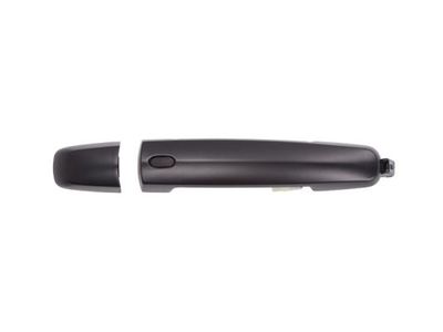 Exterior Door Handle BLIC 6010-18-021402CP