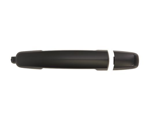 BLIC 6010-18-021402P Exterior Door Handle