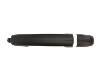 Exterior Door Handle BLIC 6010-18-021402P