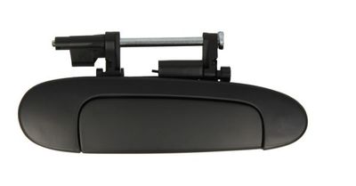 Exterior Door Handle BLIC 6010-19-039404P