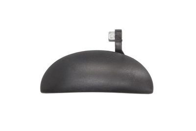 Exterior Door Handle BLIC 6010-19-055403P