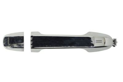 Exterior Door Handle BLIC 6010-19-074403PP