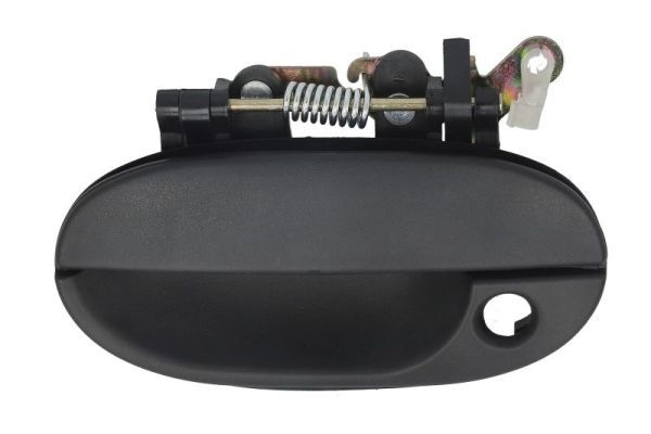 BLIC 6010-20-001401PP Exterior Door Handle