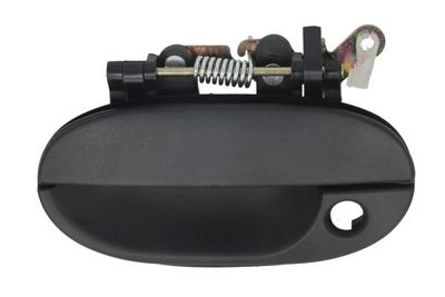 Exterior Door Handle BLIC 6010-20-001401PP