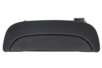 Exterior Door Handle BLIC 6010-20-008401P