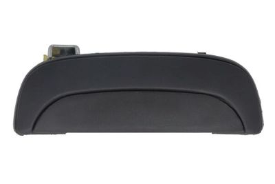 Exterior Door Handle BLIC 6010-20-008402P