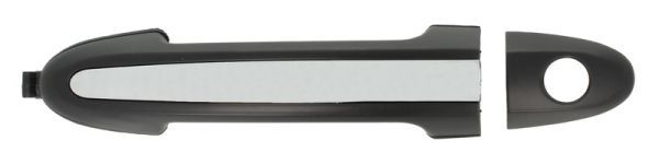 BLIC 6010-20-032401P Exterior Door Handle