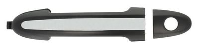 Exterior Door Handle BLIC 6010-20-032401P