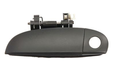 Exterior Door Handle BLIC 6010-20-036401P