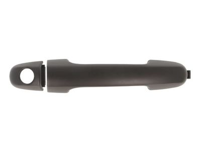 Exterior Door Handle BLIC 6010-20-045401P