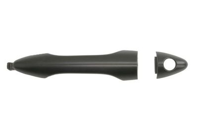 Exterior Door Handle BLIC 6010-20-0568401P