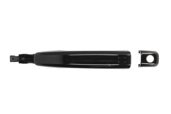 BLIC 6010-25-032401P Exterior Door Handle