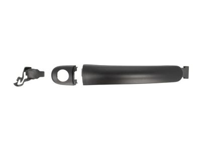 Exterior Door Handle BLIC 6010-43-010401P