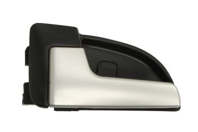 Exterior Door Handle BLIC 6010-53-025409P