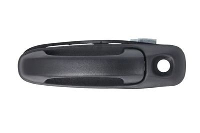 Exterior Door Handle BLIC 6010-55-007401P