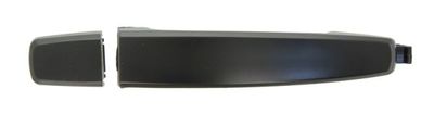 Exterior Door Handle BLIC 6010-56-005406P