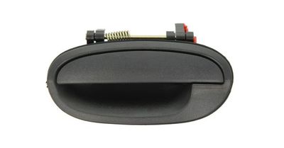 Exterior Door Handle BLIC 6010-56-007403P