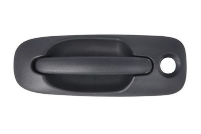 Exterior Door Handle BLIC 6010-58-013410P