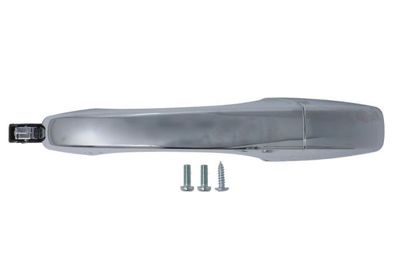 Exterior Door Handle BLIC 6010-58-017410P