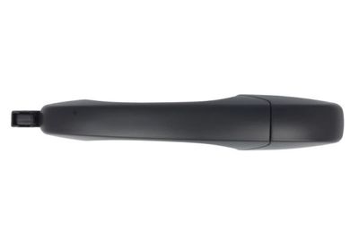 Exterior Door Handle BLIC 6010-58-017410PP