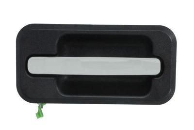 Exterior Door Handle BLIC 6010-88-2418403P