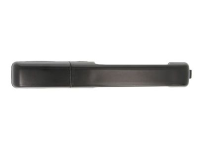 Exterior Door Handle BLIC 6010-01-008404P