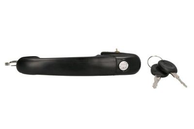 Exterior Door Handle BLIC 6010-01-009401P