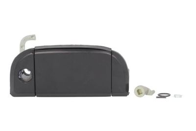 Exterior Door Handle BLIC 6010-01-013416P