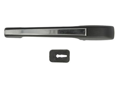 Exterior Door Handle BLIC 6010-01-016404P
