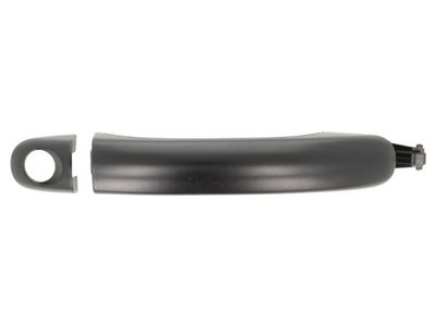 Exterior Door Handle BLIC 6010-01-037401P