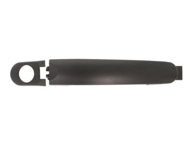 Exterior Door Handle BLIC 6010-01-039401P