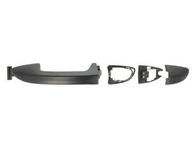 Exterior Door Handle BLIC 6010-01-043401P