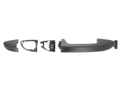 Exterior Door Handle BLIC 6010-01-043402P