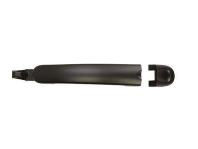 Exterior Door Handle BLIC 6010-01-045402P
