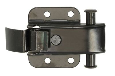 Door Check BLIC 6010-01-047431T