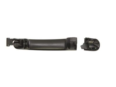 Exterior Door Handle BLIC 6010-01-048401P