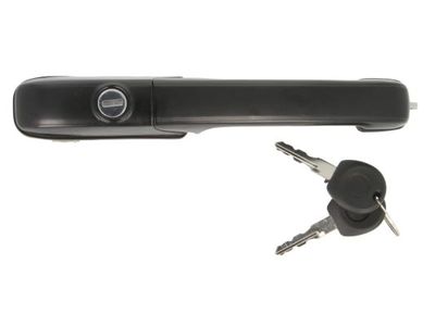 Exterior Door Handle BLIC 6010-01-060401PP