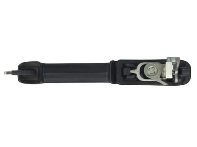 Exterior Door Handle BLIC 6010-01-060402PP