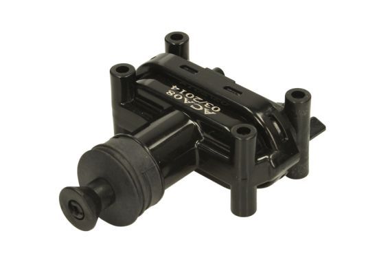 BLIC 6010-02-002435P Control Valve, central locking