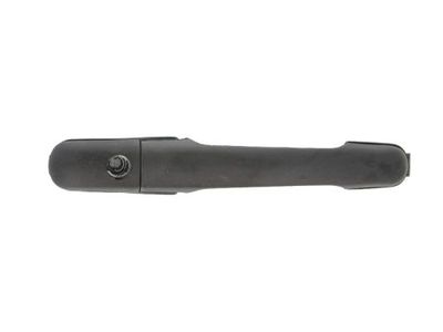Exterior Door Handle BLIC 6010-02-018405P