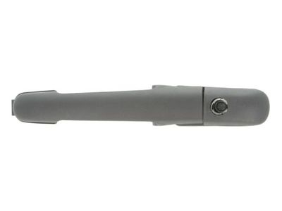 Exterior Door Handle BLIC 6010-02-018410P
