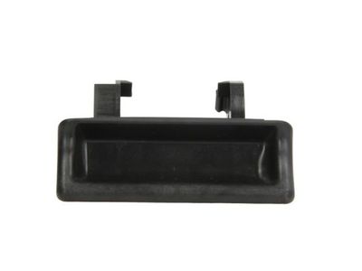 Handle, bootlid BLIC 6010-02-020417P