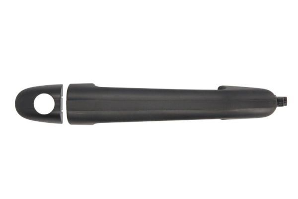 BLIC 6010-02-024401P Exterior Door Handle