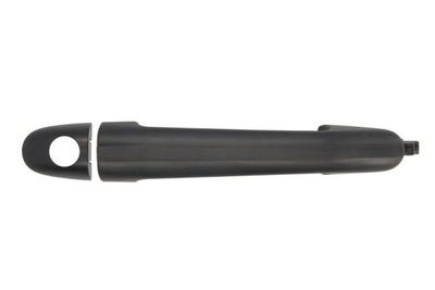 Exterior Door Handle BLIC 6010-02-024401P