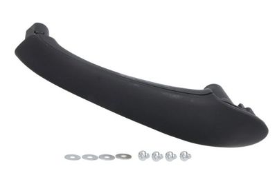 Exterior Door Handle BLIC 6010-02-031408P