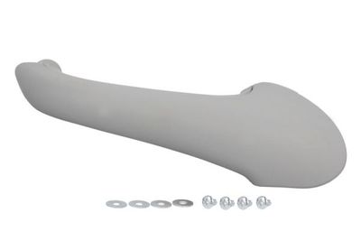 Exterior Door Handle BLIC 6010-02-031409PPP