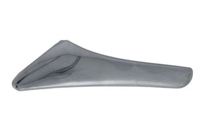 Exterior Door Handle BLIC 6010-02-034409P
