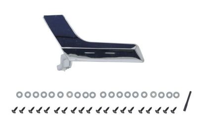 Exterior Door Handle BLIC 6010-02-053408P