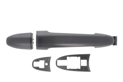 Exterior Door Handle BLIC 6010-02-065410P