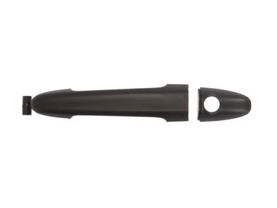 Exterior Door Handle BLIC 6010-02-065417P